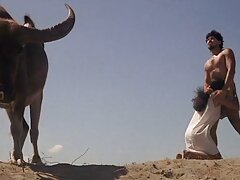 गोल-मटोल हॉर्नी टीन सनी लियोन की सेक्सी मूवी फुल एचडी वीडियो फक्किंग उसकी स्टड